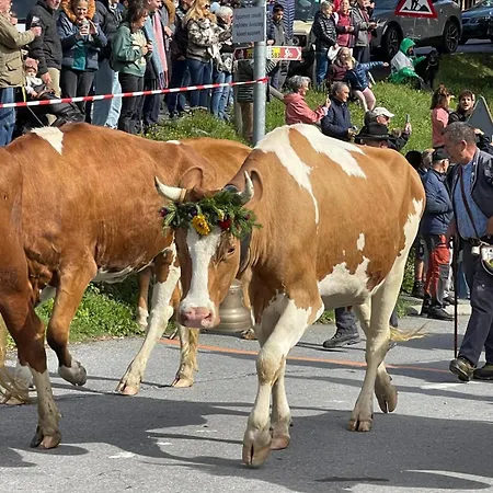 For 6 People Ideally Located In Gryon