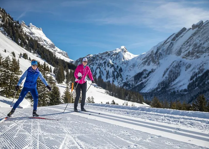 For 6 People Ideally Located In Chalet Gryon