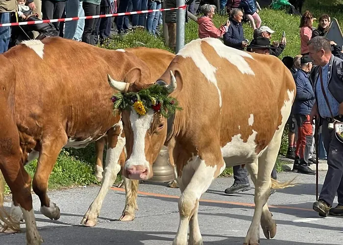 For 6 People Ideally Located In Gryon